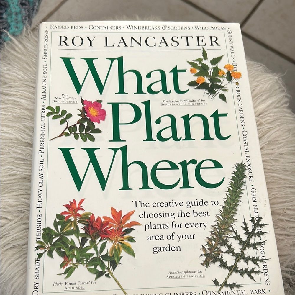 Roy Lancaster what plant 🌱 where